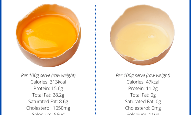 Nutrition Facts of a Scrambled Egg