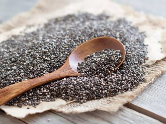 Chia seed 1 tbsp nutrition facts